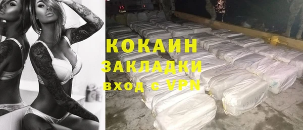 индика Вязники